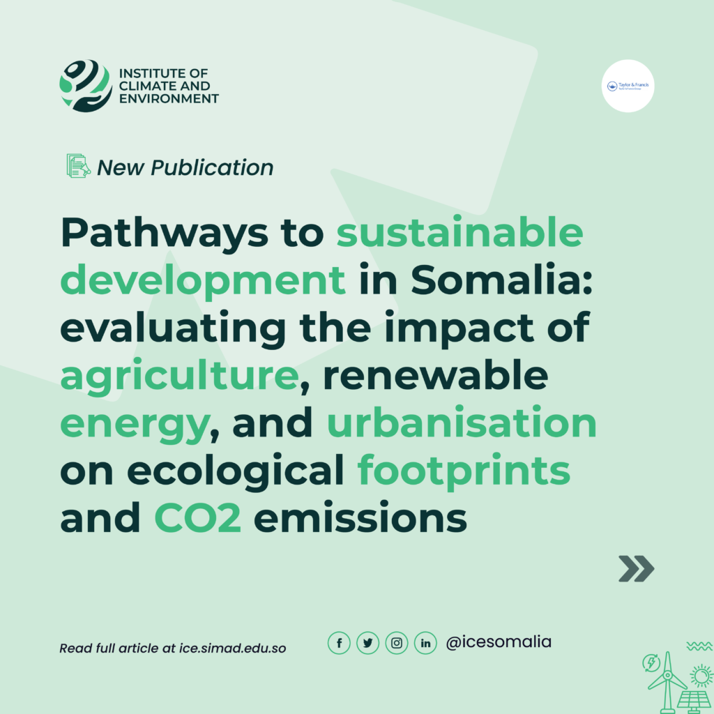 Pathways to sustainable development in Somalia: evaluating the impact ...